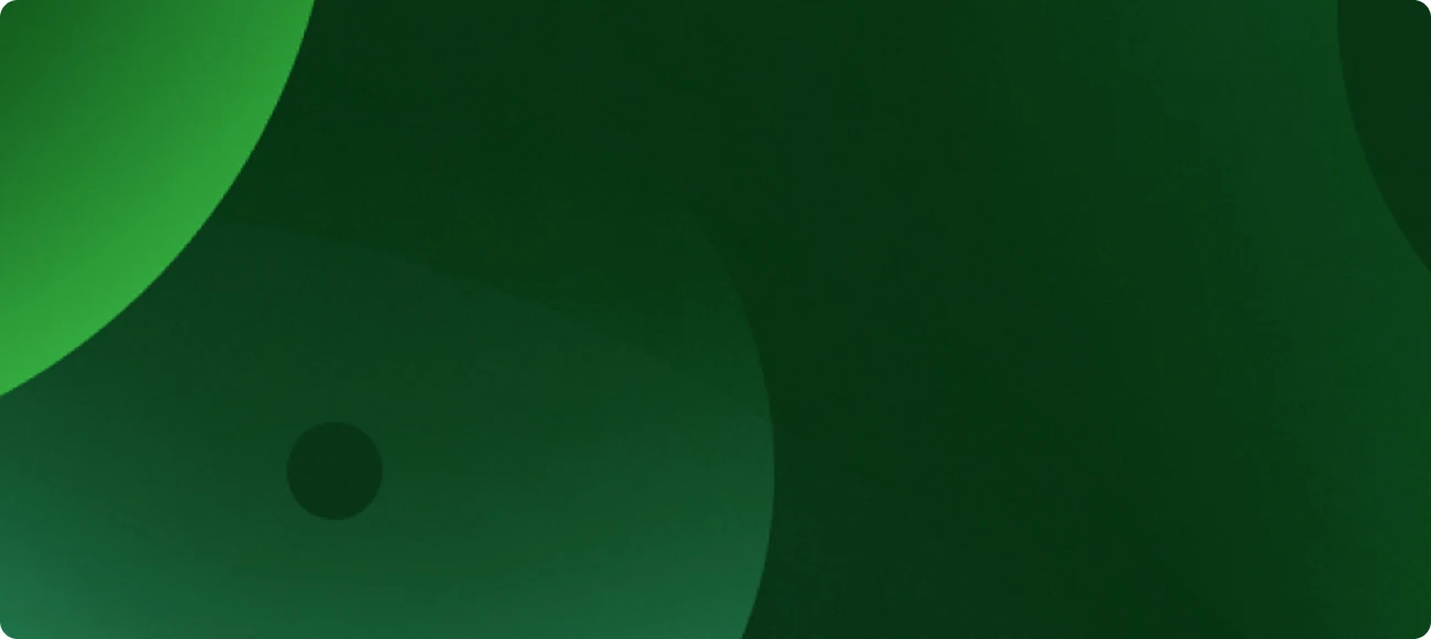 전문가의 경험과 성장