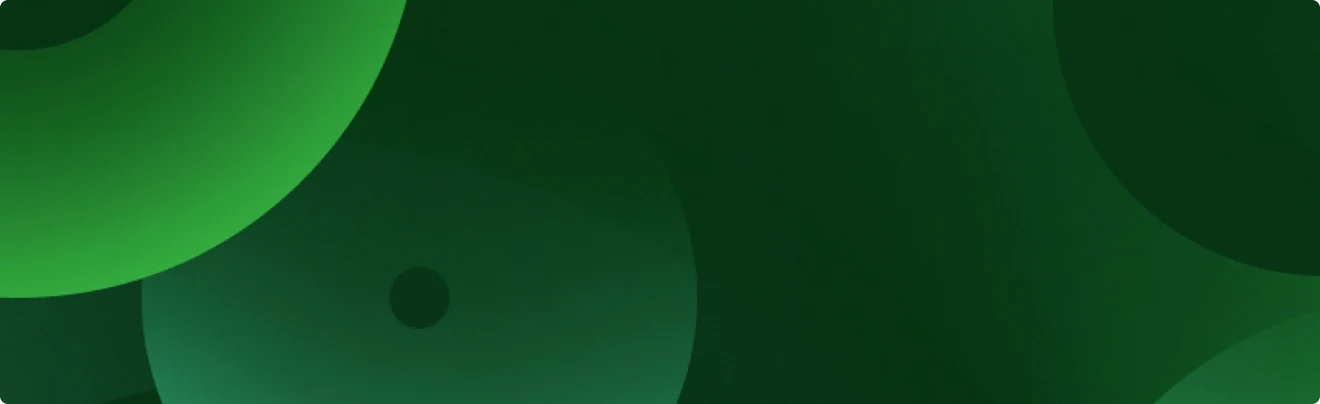 전문가의 경험과 성장